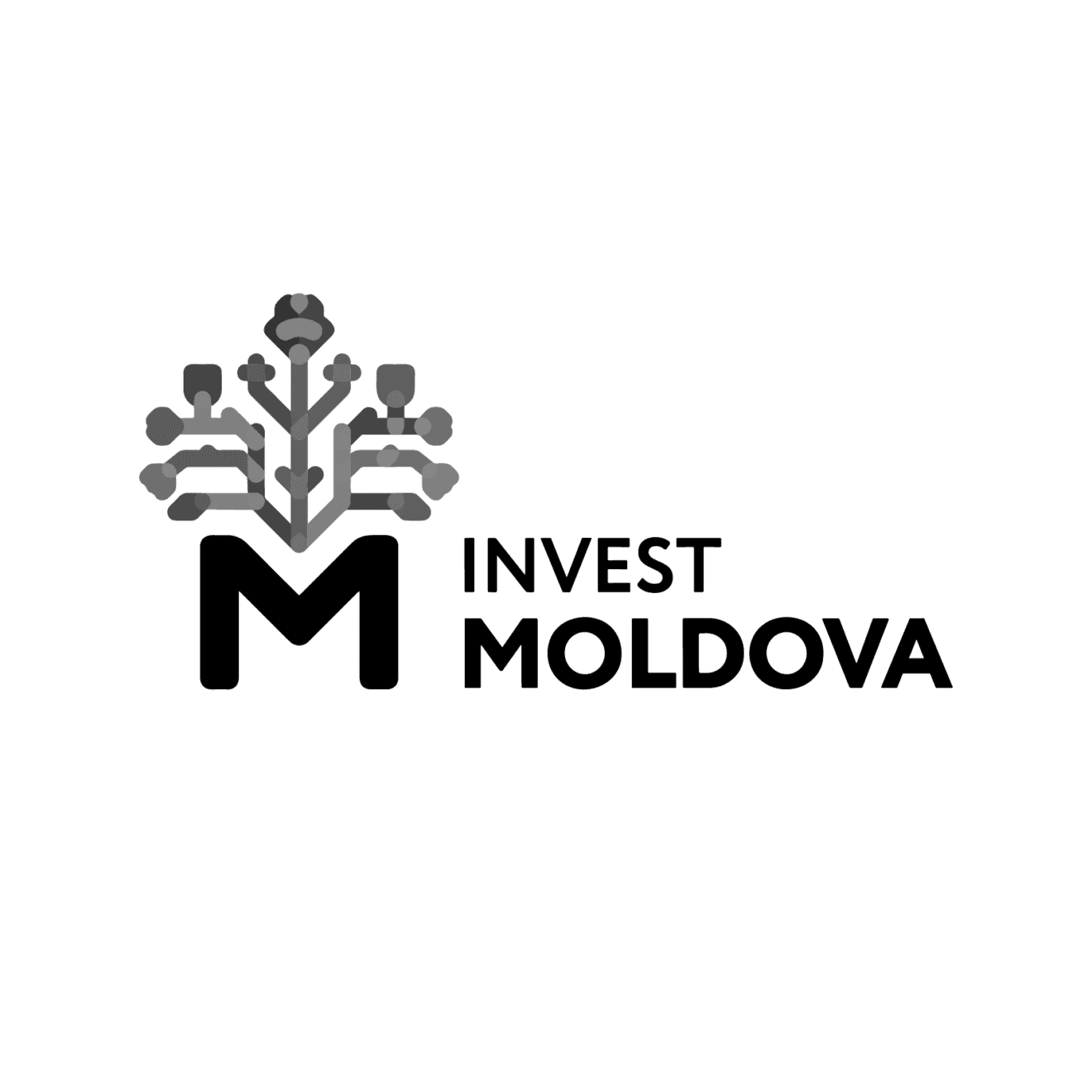 invest-moldova